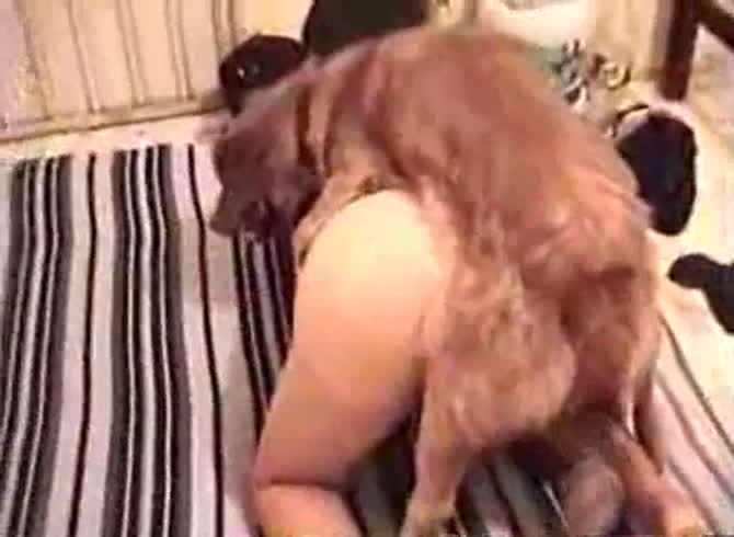 Video :Animal sex video of lady's wet pussy getting banged by dog